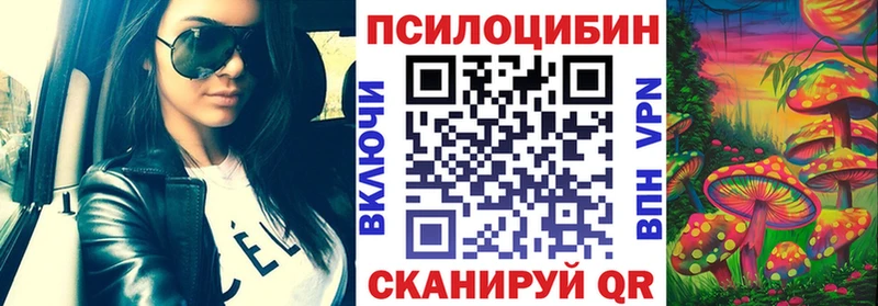 Галлюциногенные грибы Psilocybe Омутнинск